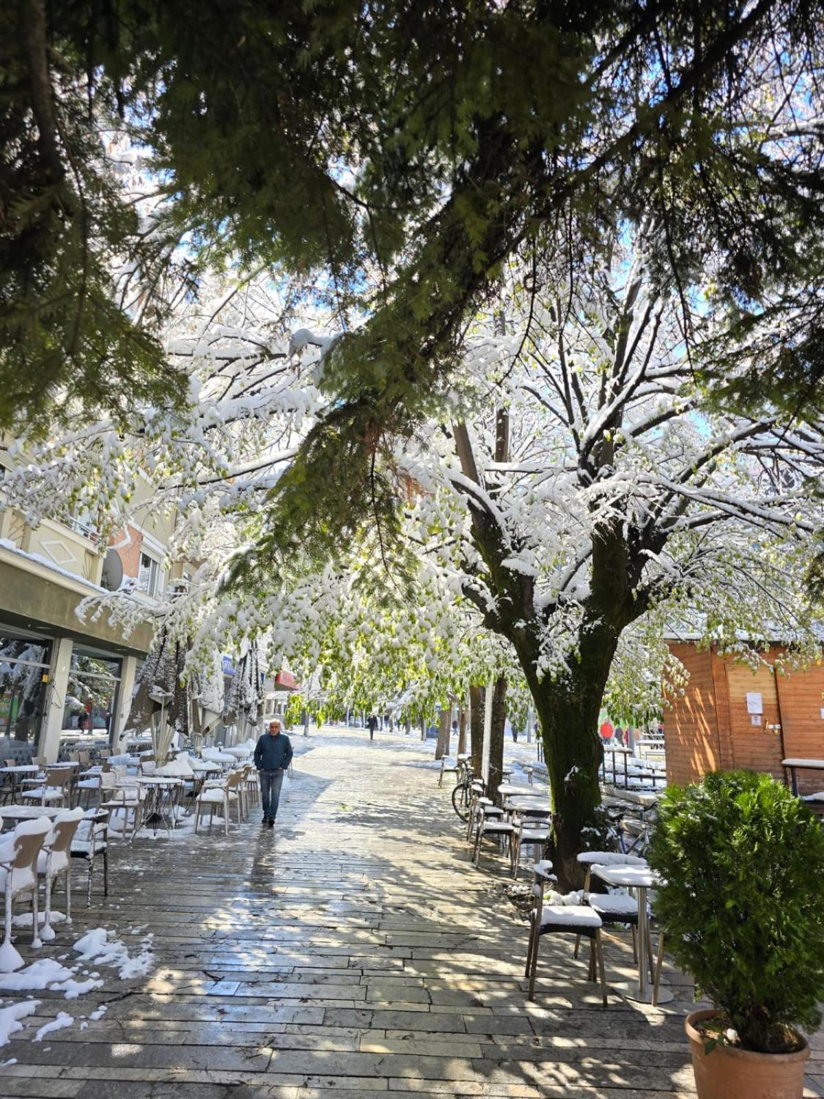 Vila Sonnet Korce Buitenkant foto