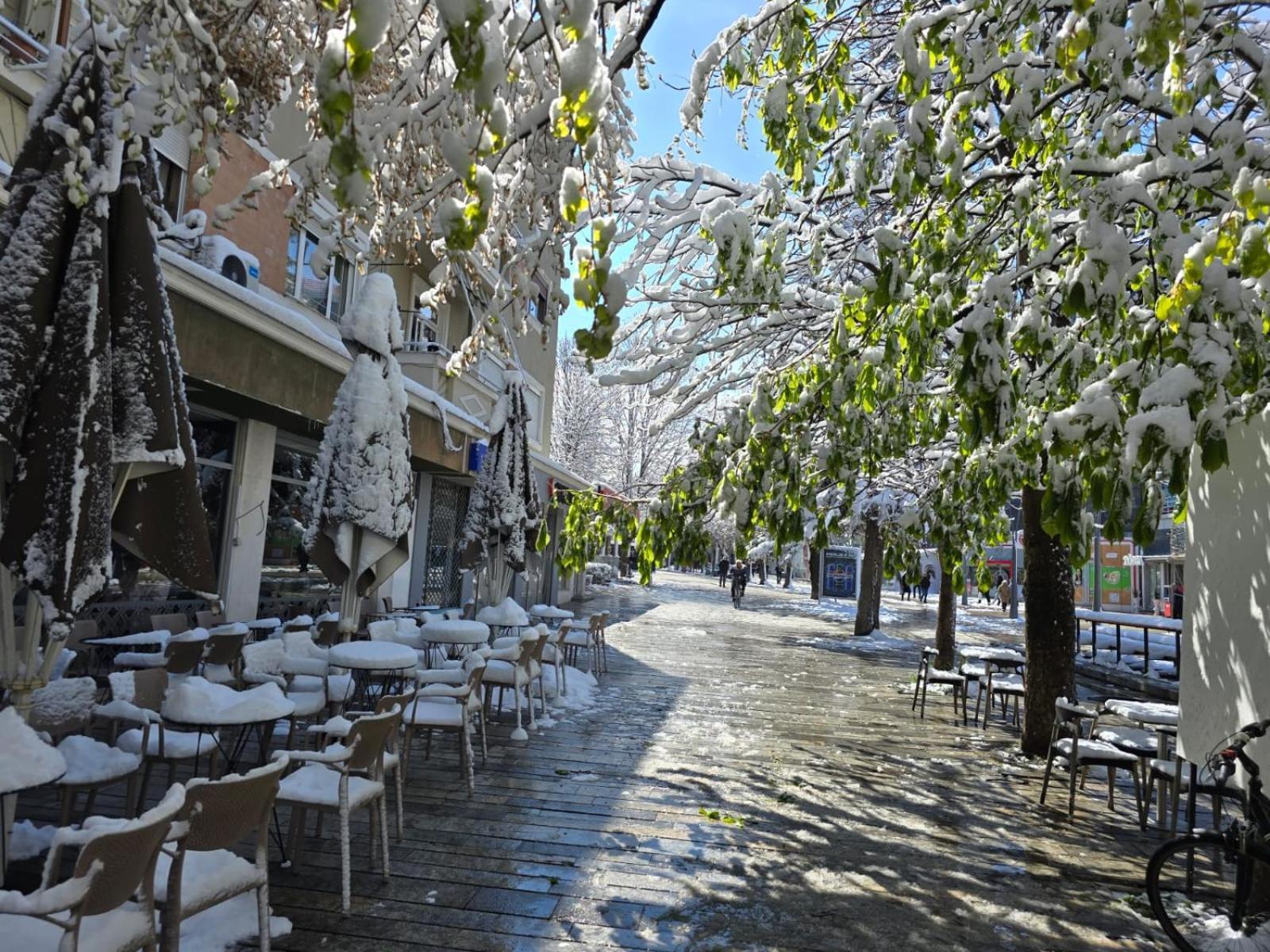 Vila Sonnet Korce Buitenkant foto